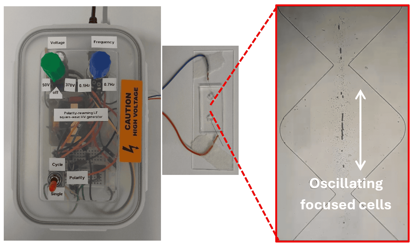 Fig 6